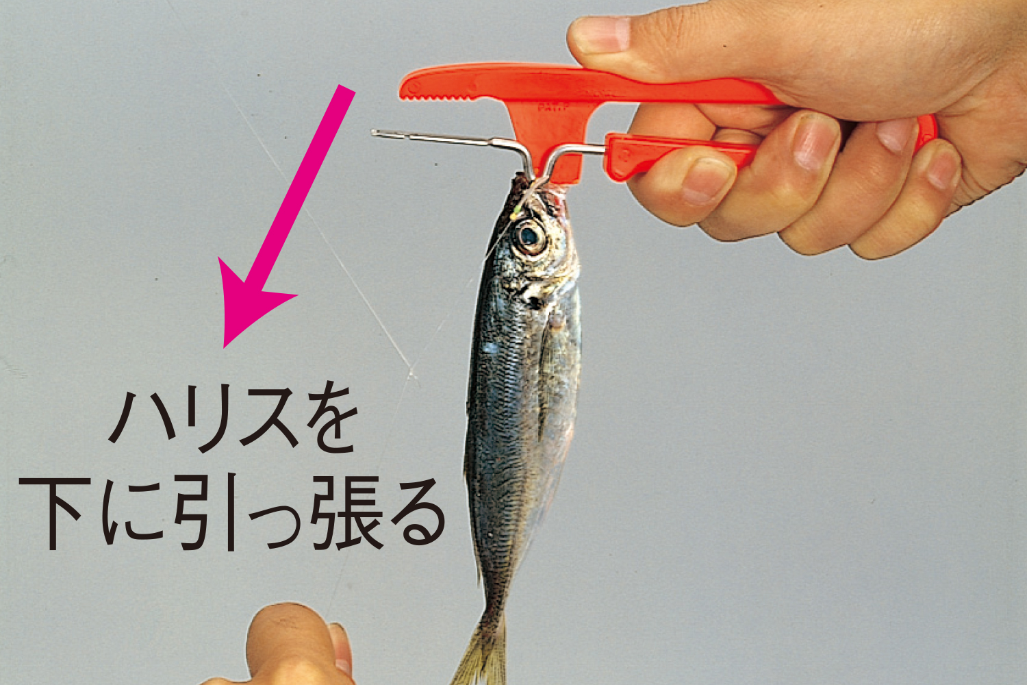 商品詳細｜第一精工株式会社｜DAIICHISEIKO CO.,LTD.｜釣具｜より良い確かな釣用品